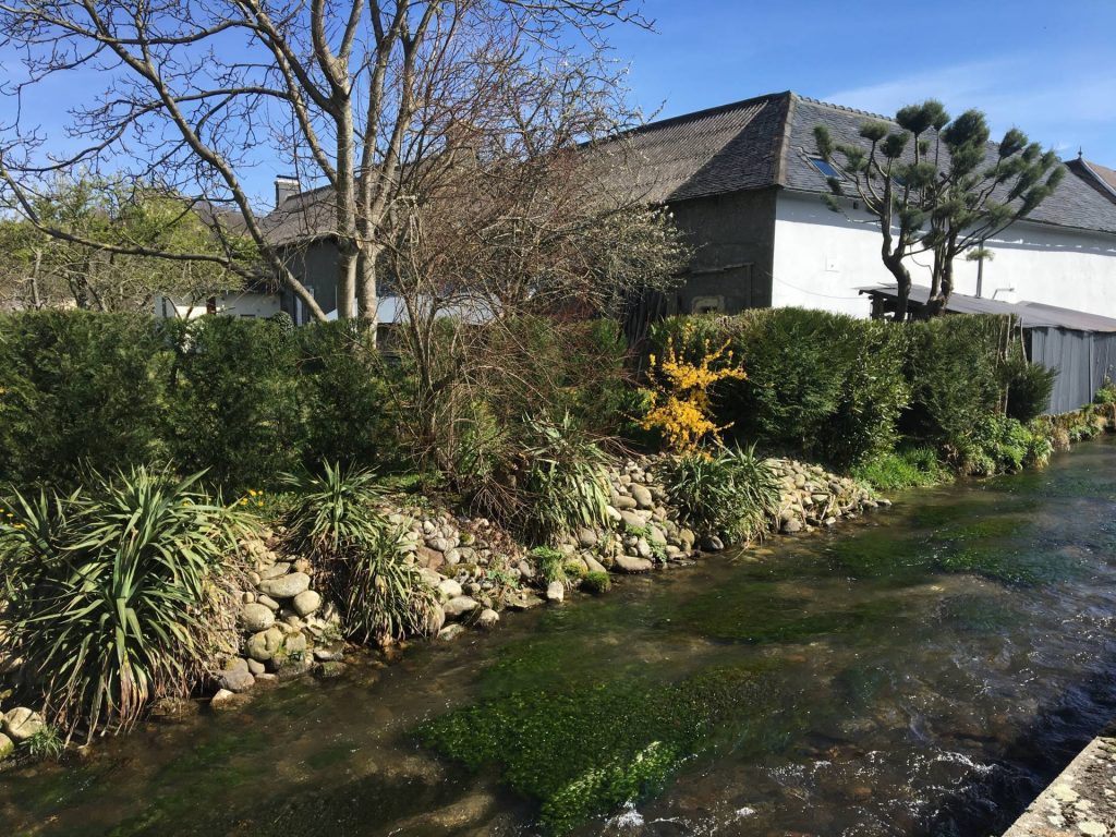 Rive de l'Alaric (2) -comp